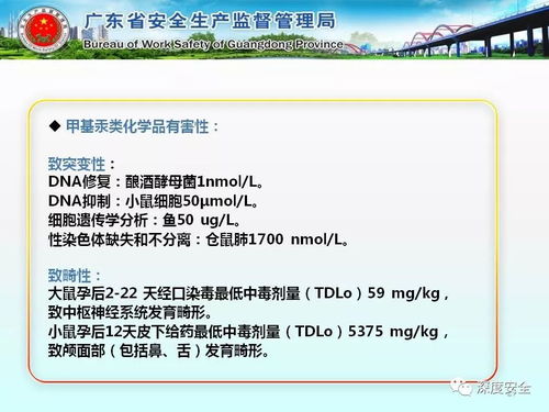 工貿(mào)企業(yè)危險(xiǎn)化學(xué)品安全管理實(shí)務(wù)指南